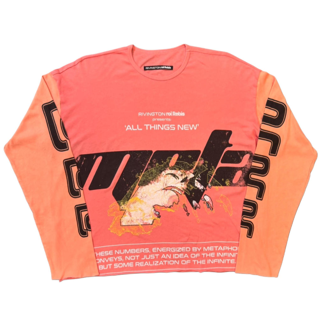 RRR123 All Things New Enemy LS Tee